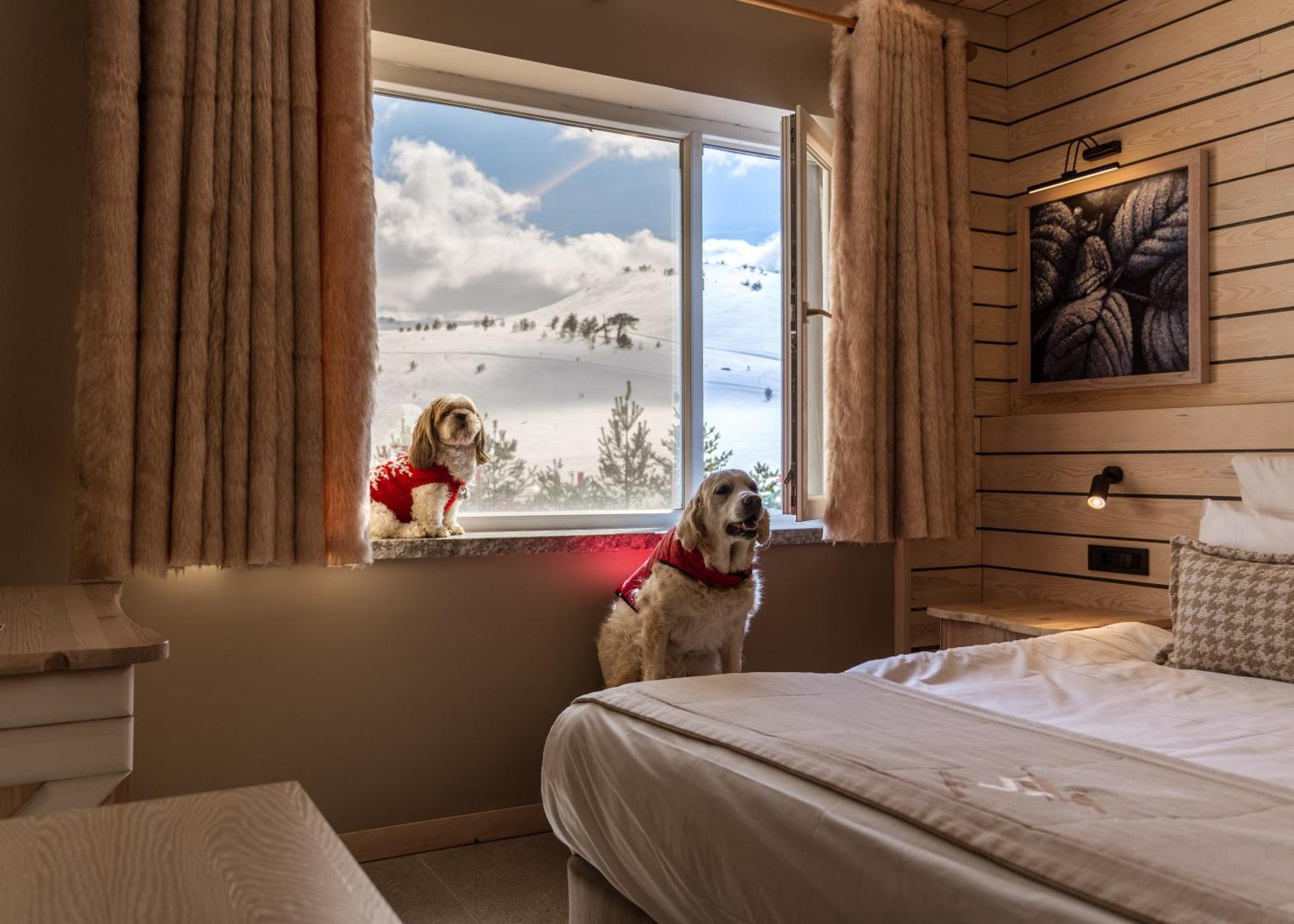 Kartal Hotel Kartalkaya ภายนอก รูปภาพ
